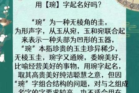 属鸡子时出生的男孩该如何起名，宜用什么字姓名