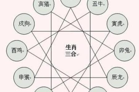 黄历生肖相冲查询,日子相冲对照表