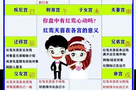 紫薇斗数基本术语见