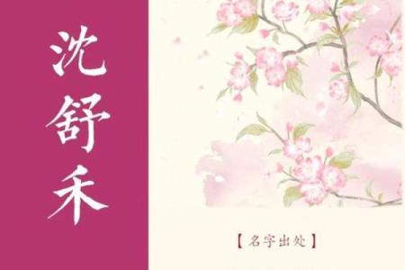 舒姓女孩名字大全-舒姓女孩起名字大全-舒姓名字大全姓名