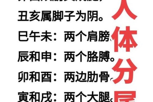 易经八字测算方法，轻松揭秘命运奥秘