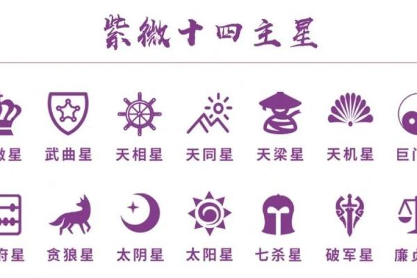 紫薇斗数阴阳星