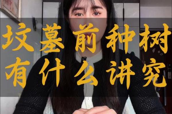 风水上祖坟上长树意味着什么