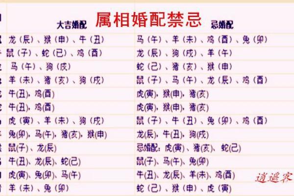 属兔和什么属相最配对 属兔和什么属相相冲