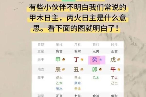 八字地支十神怎么看