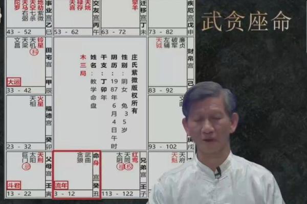 南北派紫薇斗数
