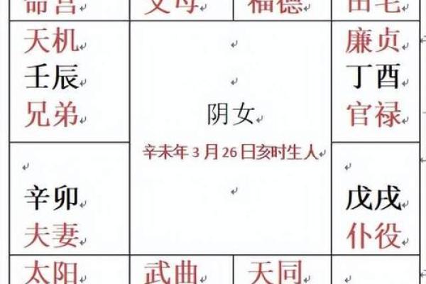 紫微斗数免费算命详解,紫微斗数免费算命神巴巴网
