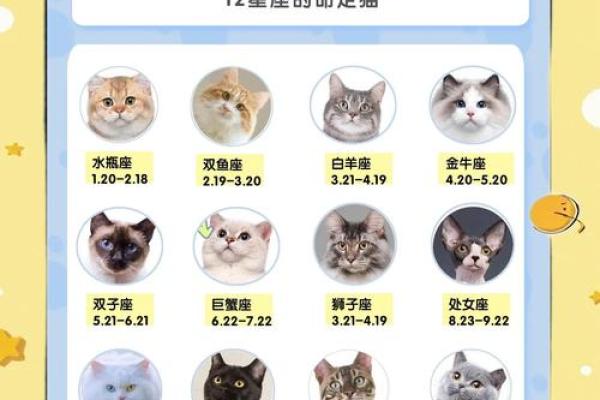 最狠的橘猫星座是哪个