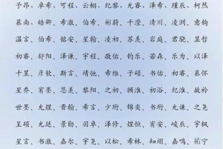 教你给属鸡丑时出生的男孩起名姓名