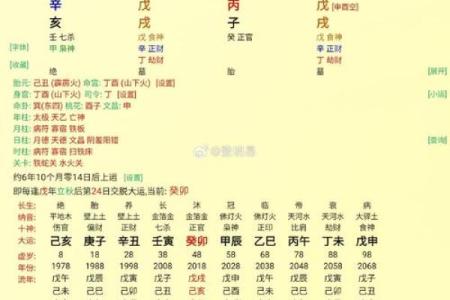 未来有姻缘的八字女命好不好