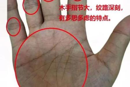 手型算命：木型人的性格与命运