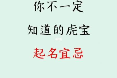 早上出生的属虎男孩如何起名，宜用什么字姓名