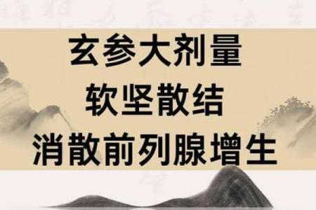【男人八字正气大折扣】获取中医命理妙方，提升身心健康！