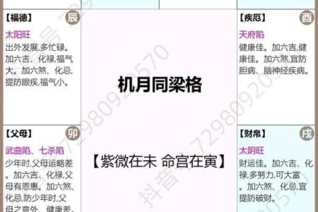 紫薇斗数看老运