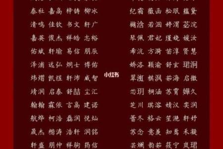 2019年6月11号子时出生的男孩如何起名姓名