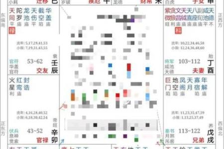 紫微斗数免费算命详解,紫微斗数免费算命神巴巴网