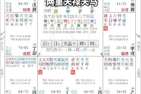 八字命理：天禄天马取法用法