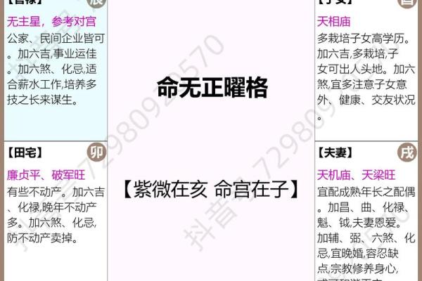 紫薇斗数贴吧