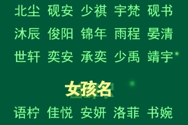 属龙辛时出生的男孩怎样起名，宜用什么字姓名
