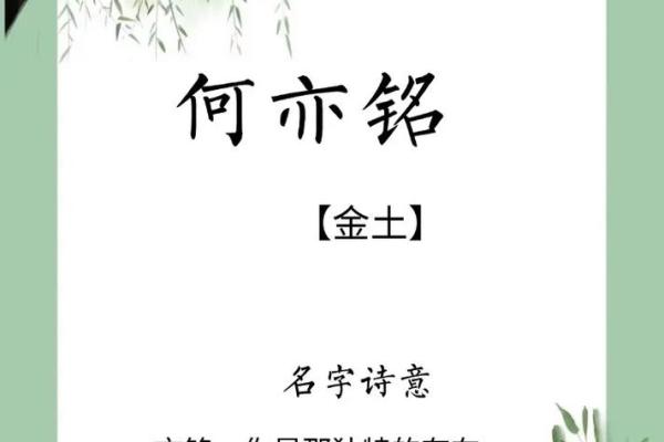 何姓女孩名字大全-何姓女孩起名字大全-何姓名字大全姓名