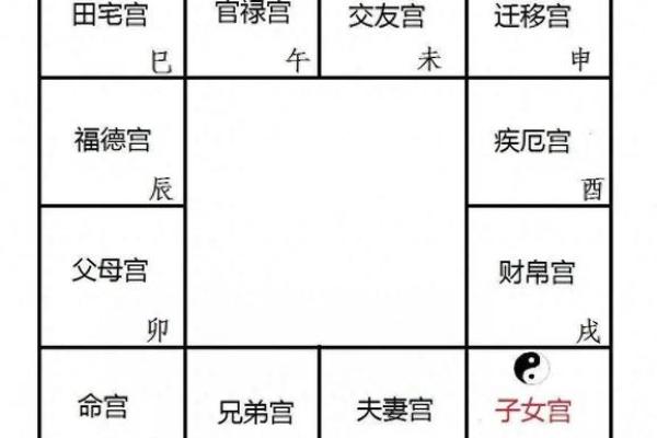 紫薇斗数排盘步骤