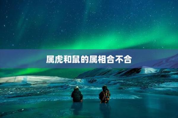 98属虎女和96属鼠男相配吗 八字合不合