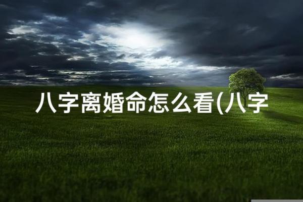 容易离婚的八字命局