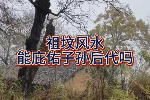 祖坟风水与子孙运势相关吗