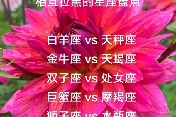 天龙座和天蝎座,与天龙座最相配的星座