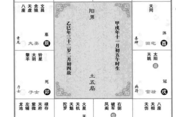 紫薇斗数算读书