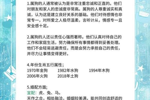 晚上出生的属狗男孩如何取名，应用什么字姓名