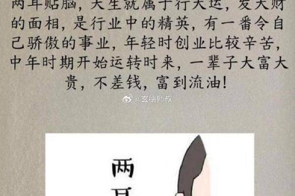 风水天生耳朵小的人运势