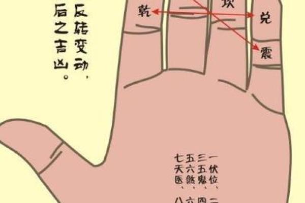 手掌算命