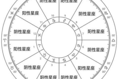 看星盘和算命哪个好些