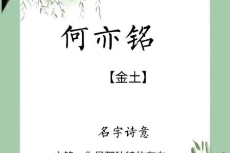 何姓女孩名字大全-何姓女孩起名字大全-何姓名字大全姓名