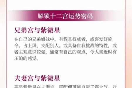紫微斗数之诸星落命宫参断