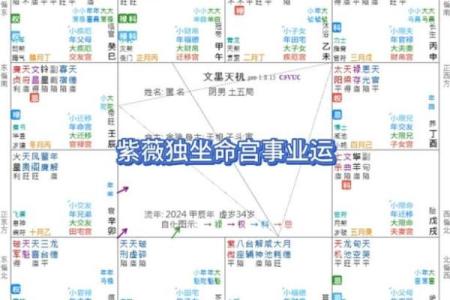 紫微斗数之事业宫与诸星，贪狼星在事业宫是什么意思？