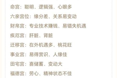 紫薇科技紫微斗数 紫微斗数 紫薇？