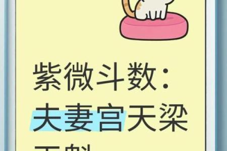 紫微斗数之事业宫与诸星，天梁星在事业宫是什么意思？
