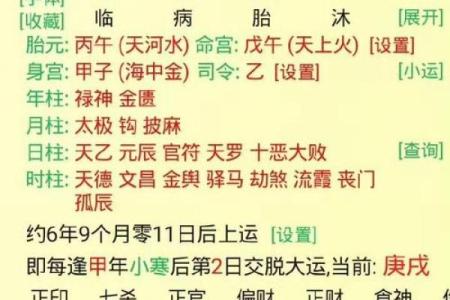 辛巳年生的最好八字命局  辛巳日出生月份看富贵