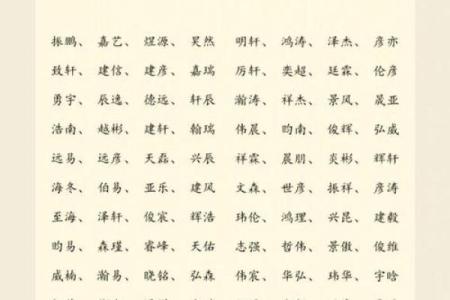 晚上出生的属狗男孩如何取名，应用什么字姓名