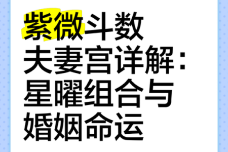 夫妻宫没有紫薇斗数