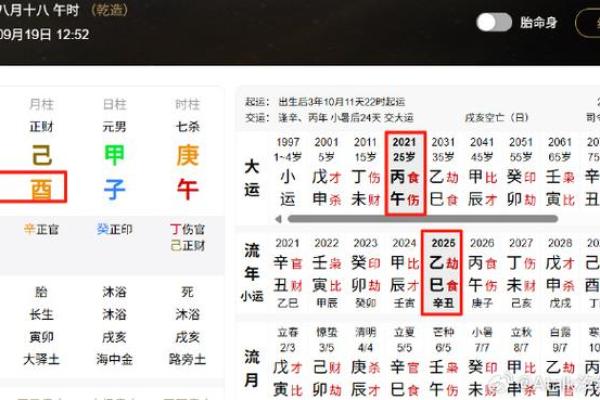 八字日支