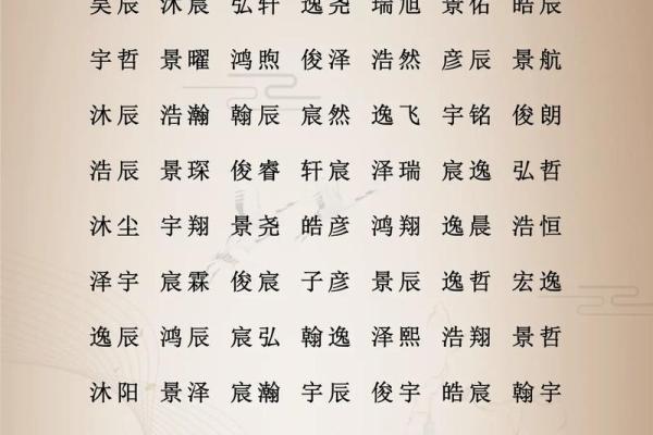 属鸡巳时出生的男孩该怎样取名姓名