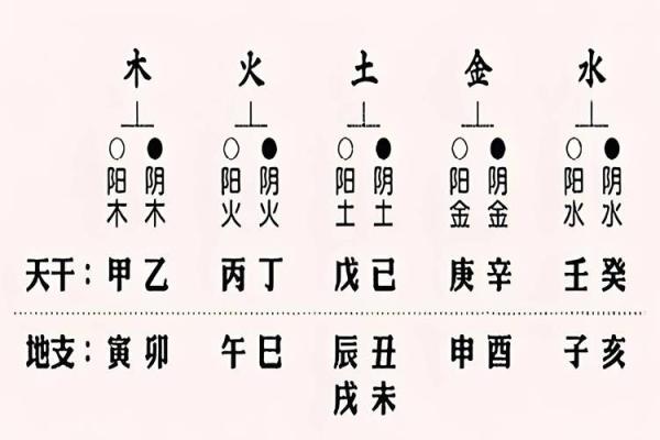 八字天干地支