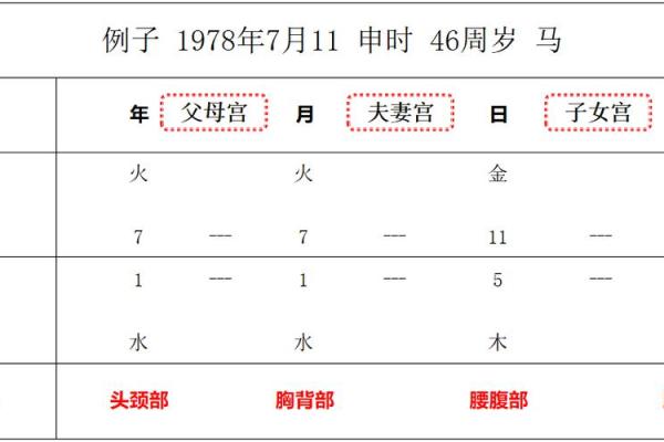 八字排盘预测