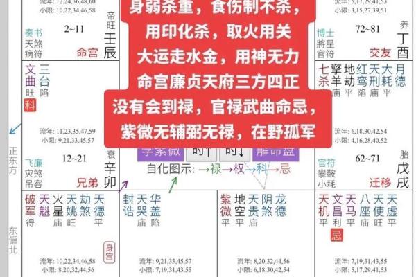 紫薇斗数算命软件