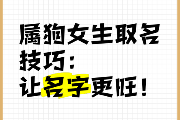 上午11点出生的属狗男孩怎么取名，用什么字好姓名
