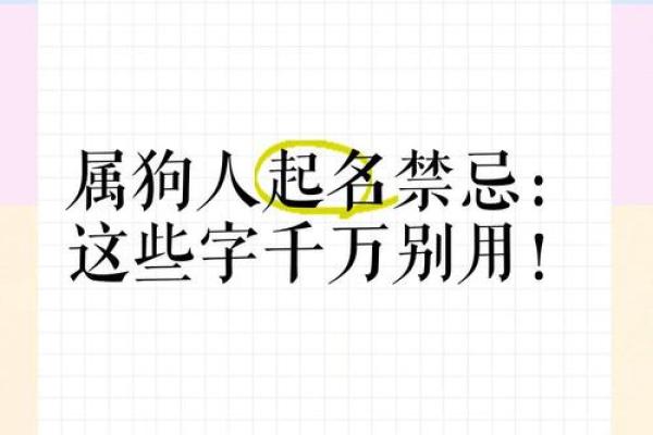 上午11点出生的属狗男孩怎么取名，用什么字好姓名