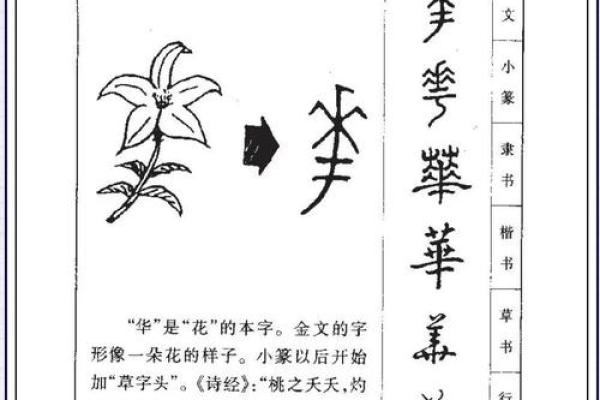 姓桑的名人-姓名学-华易算命网姓名